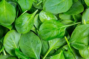 Spinach Juice for Benefits Of Different Juices For Weight Loss